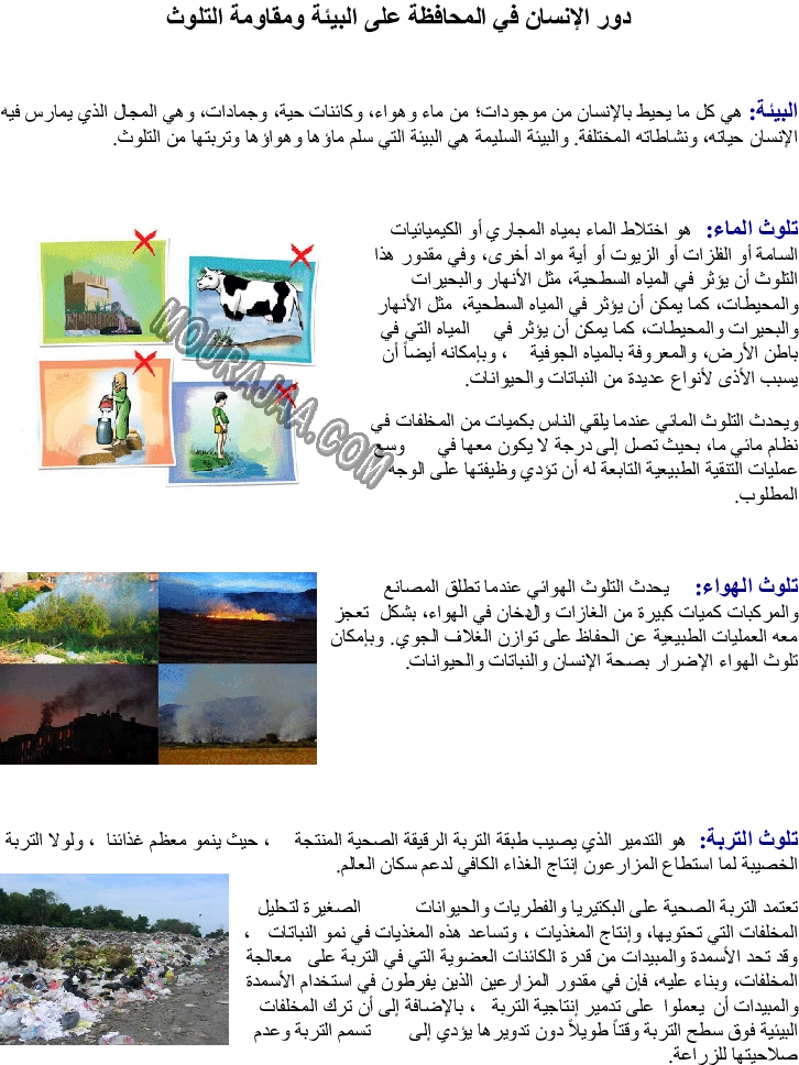 دور الإنسان في المحافظة على البيئة ومقاومة التلوث