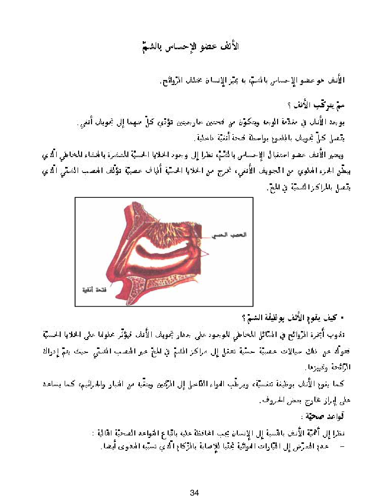 كتاب المعلم ايقاظ علمي سنة اولى