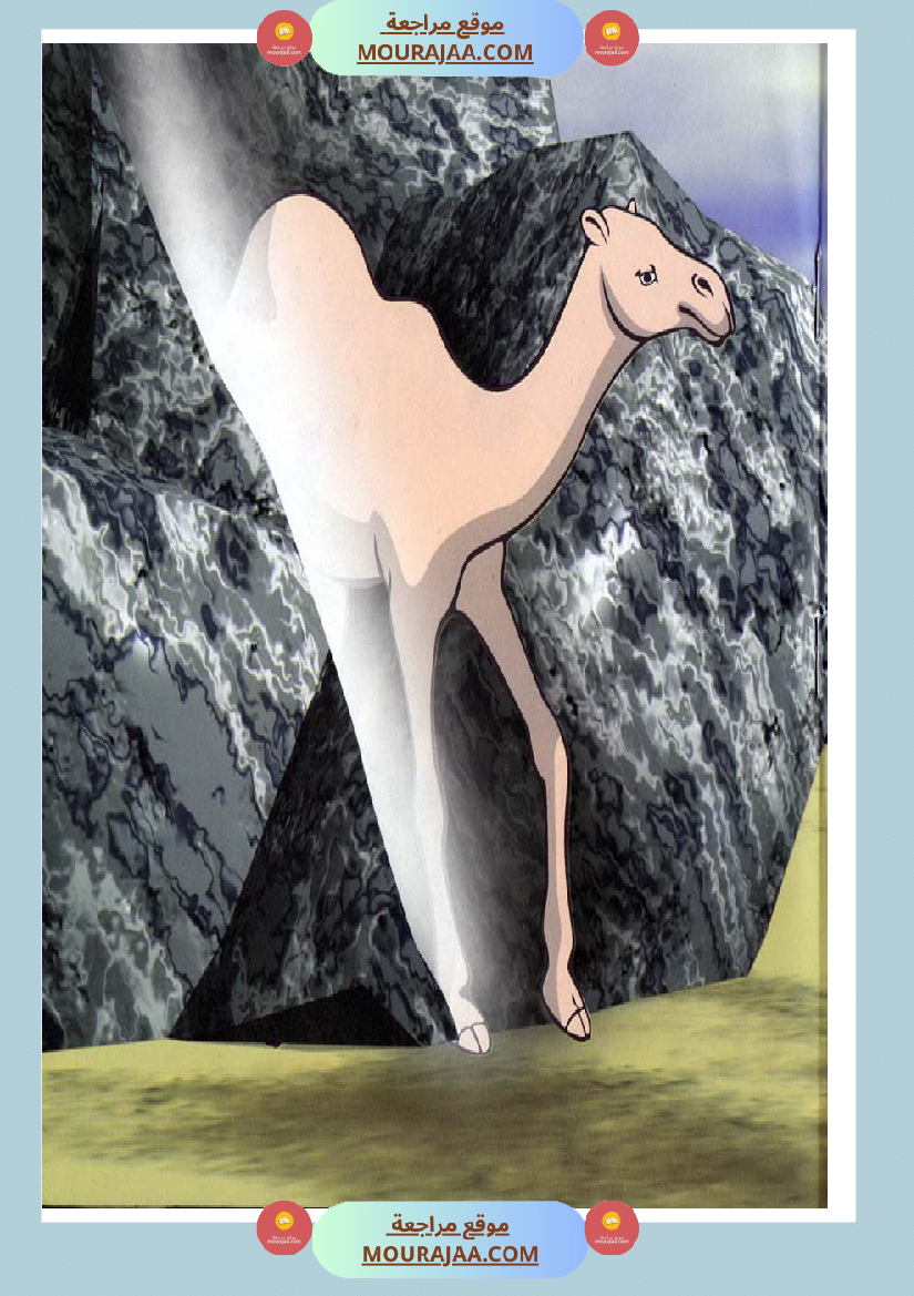 قصص الأنبياء للاطفال - صالح عليه السلام