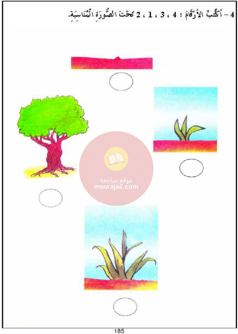 كتاب امتحانات سنة أولى ايقاظ علمي كل المحاور