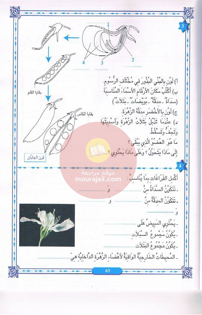 كتاب المنير في الايقاظ سنة 6