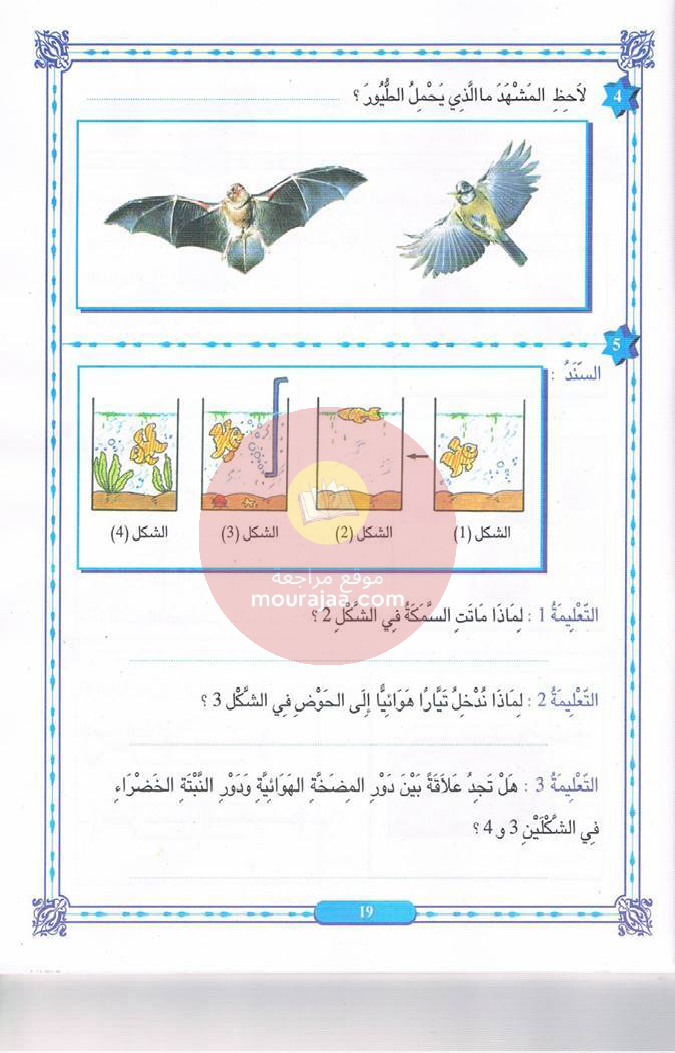 كتاب المنير في الايقاظ سنة 6