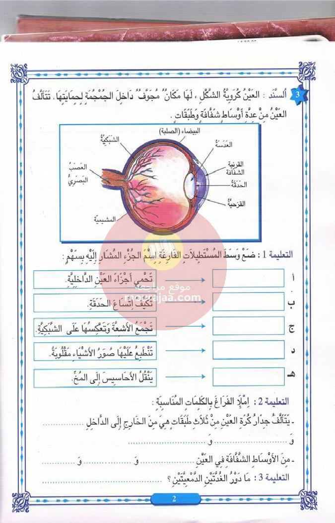 كتاب المنير في الايقاظ سنة 6