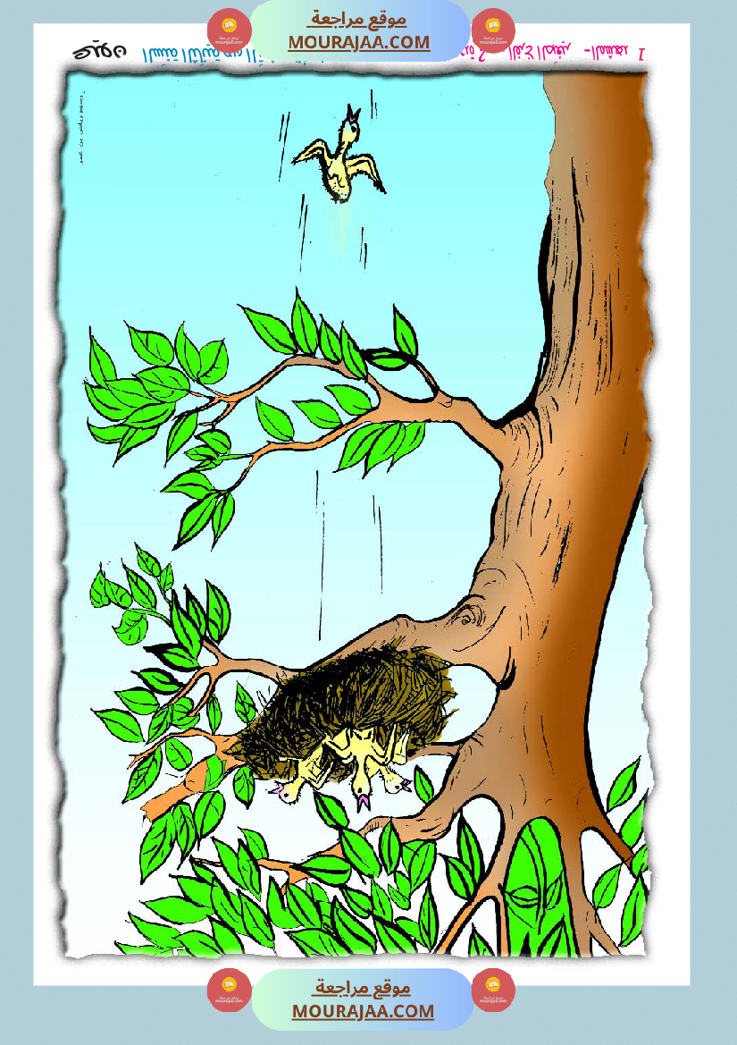 مشاهد مصورة السنة الثانية أساسي جزء 1