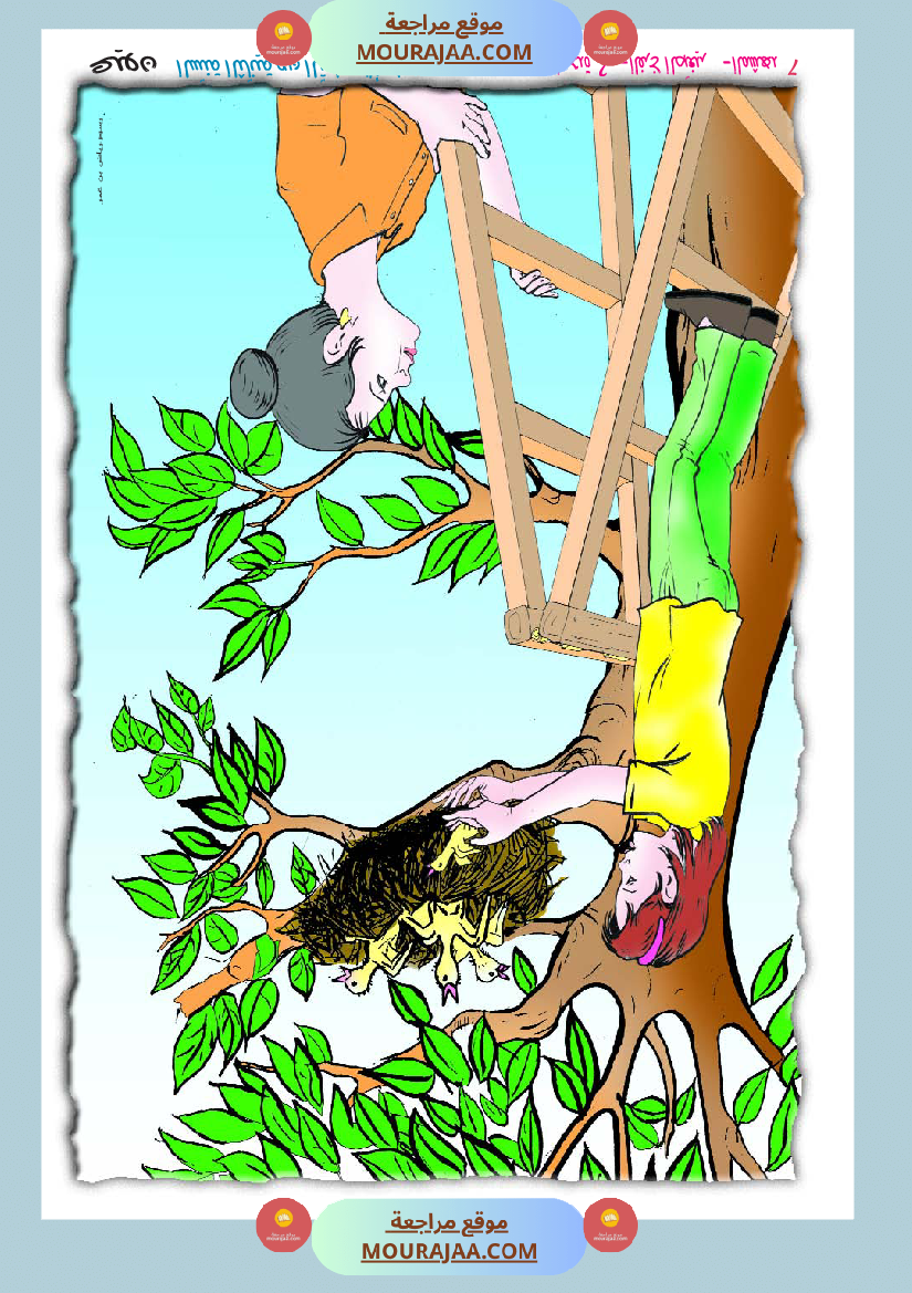 مشاهد مصورة السنة الثانية أساسي جزء 1