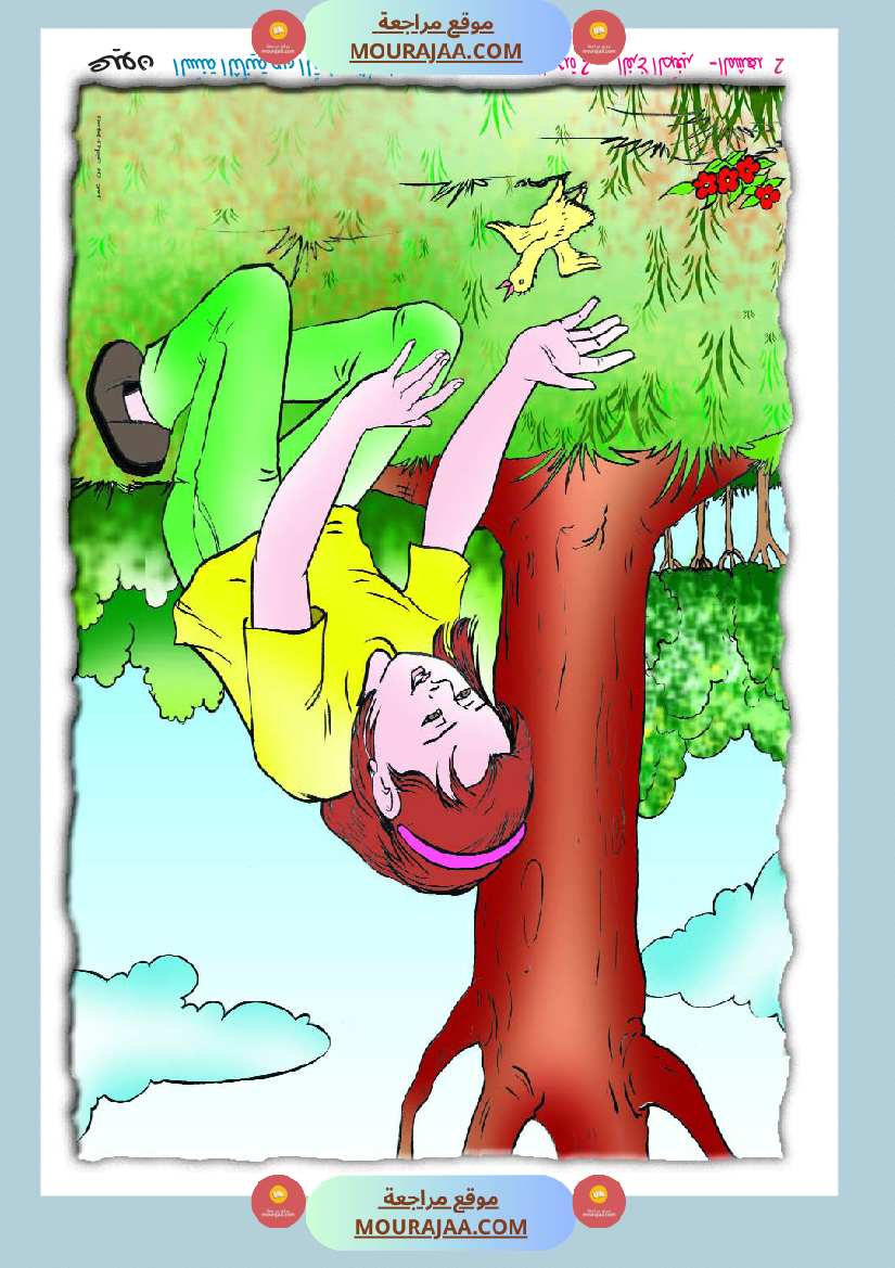 مشاهد مصورة السنة الثانية أساسي جزء 1