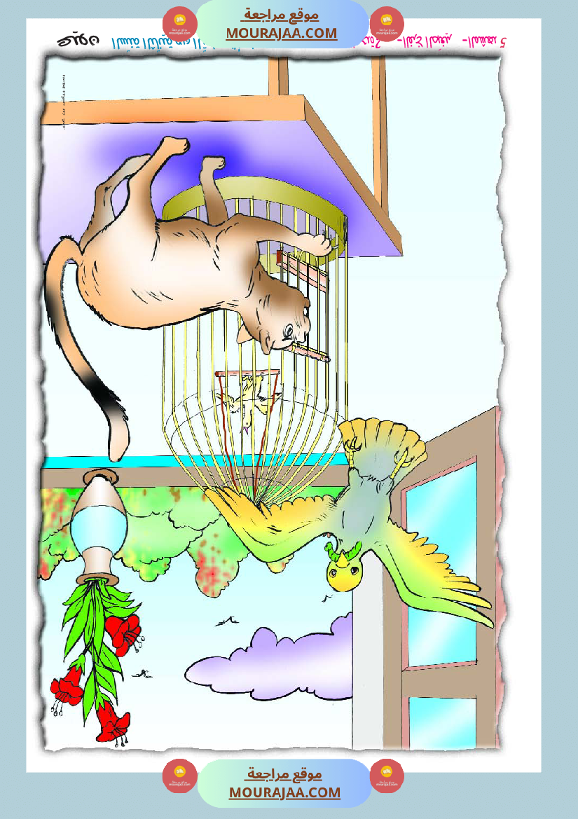 مشاهد مصورة السنة الثانية أساسي جزء 1