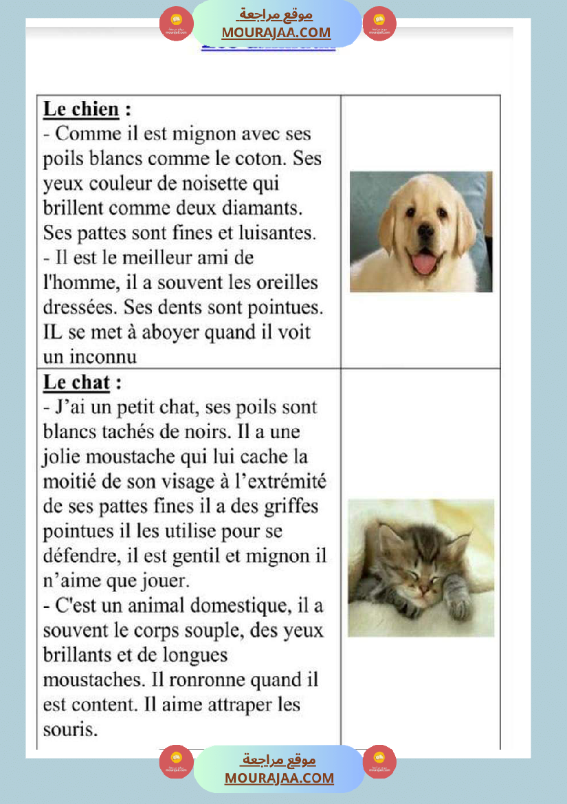 guide de production 4eme 5eme 6eme