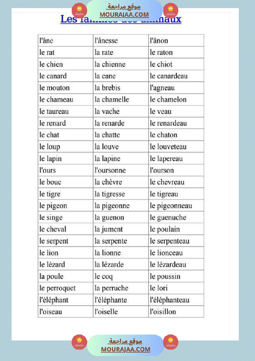 guide de production 4eme 5eme 6eme