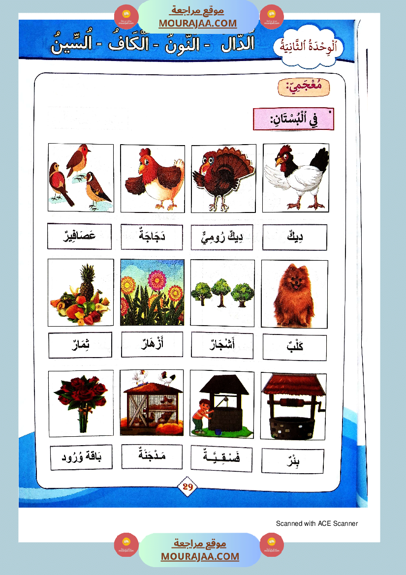 كتاب الجوهر في الانتاج الكتابي سنة الاولى