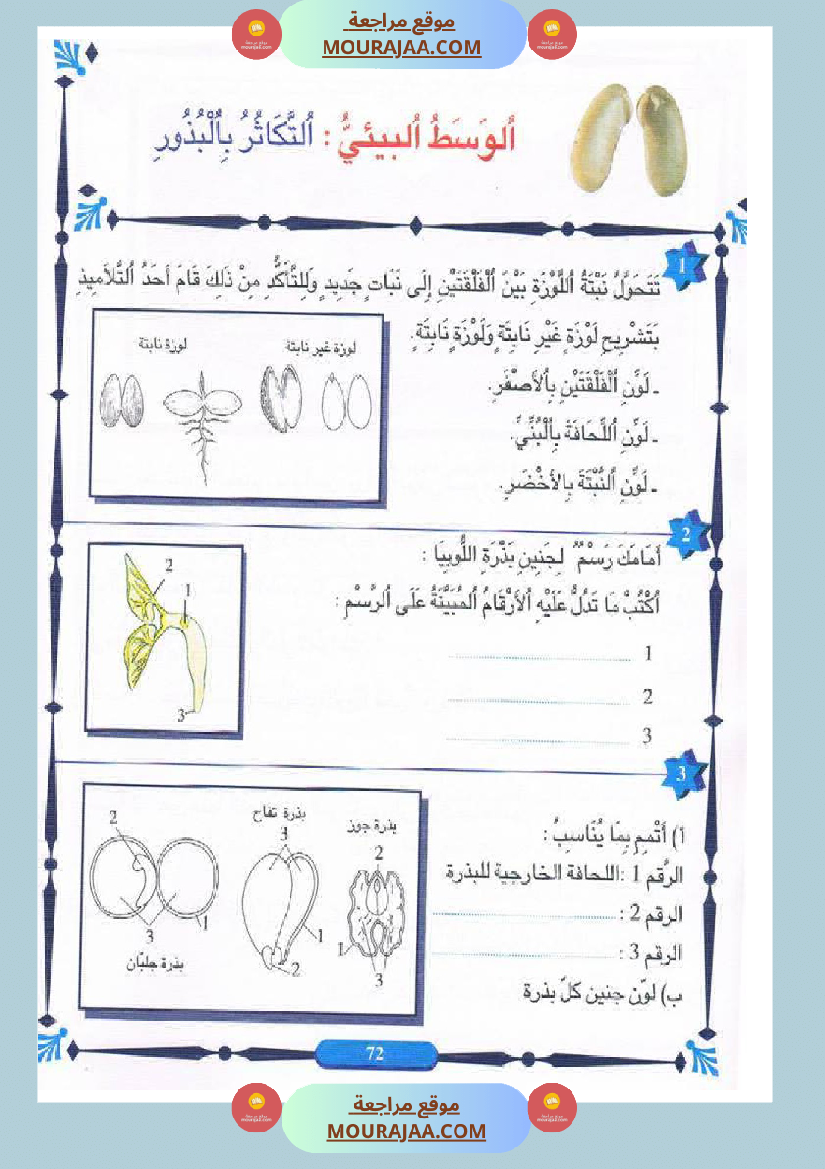 المنير في الايقاظ العلمي سنة الخامسة