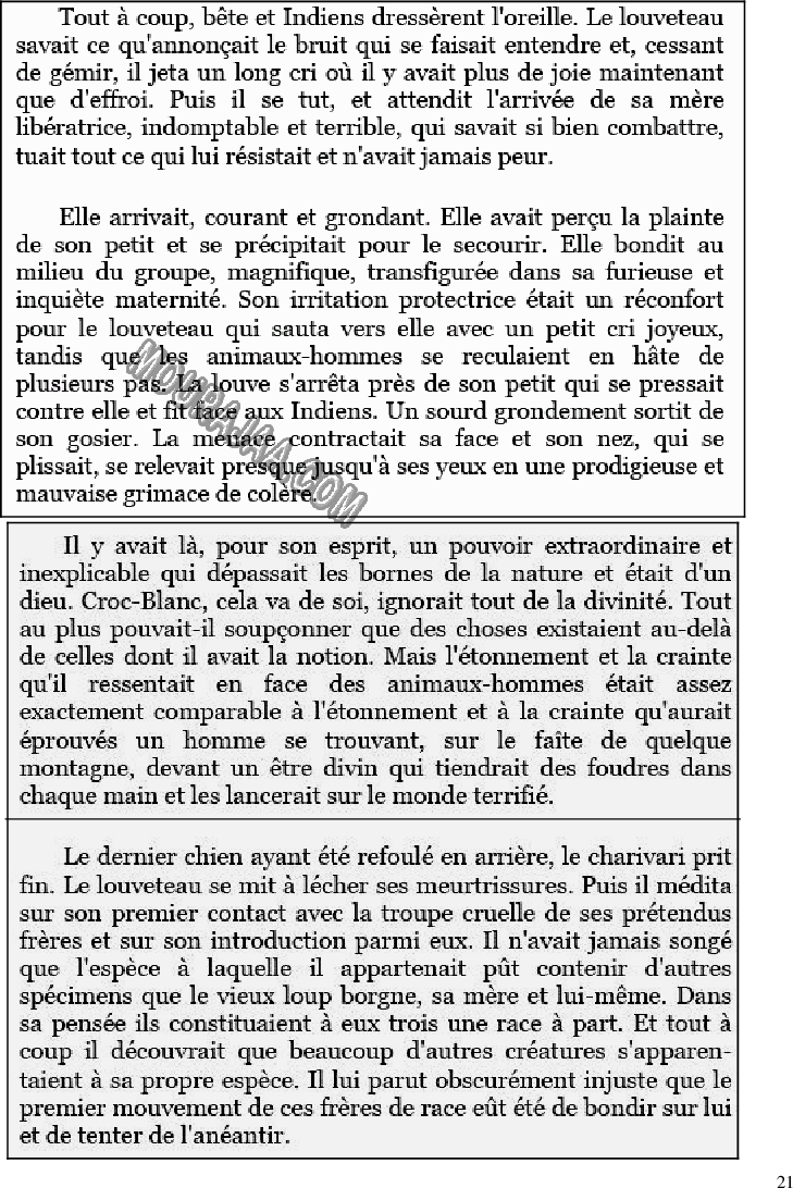 Jeux de lecture pour les 6èmes