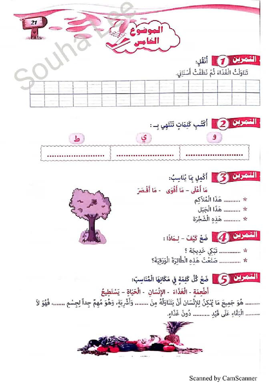 التحضير الجيد للاختبارات لغة عربية سنة اولى