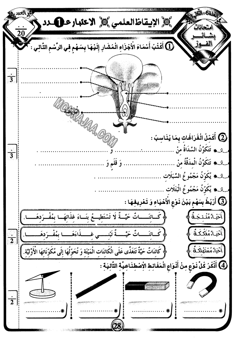 امتحانات بشائر الفوز عبد سنة سادسة 6 ثلاثي ثالث