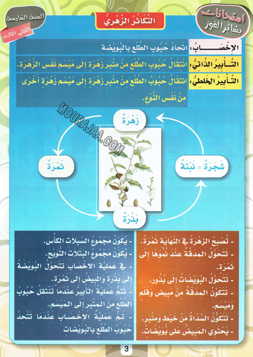 امتحانات بشائر الفوز عبد سنة سادسة 6 ثلاثي ثالث