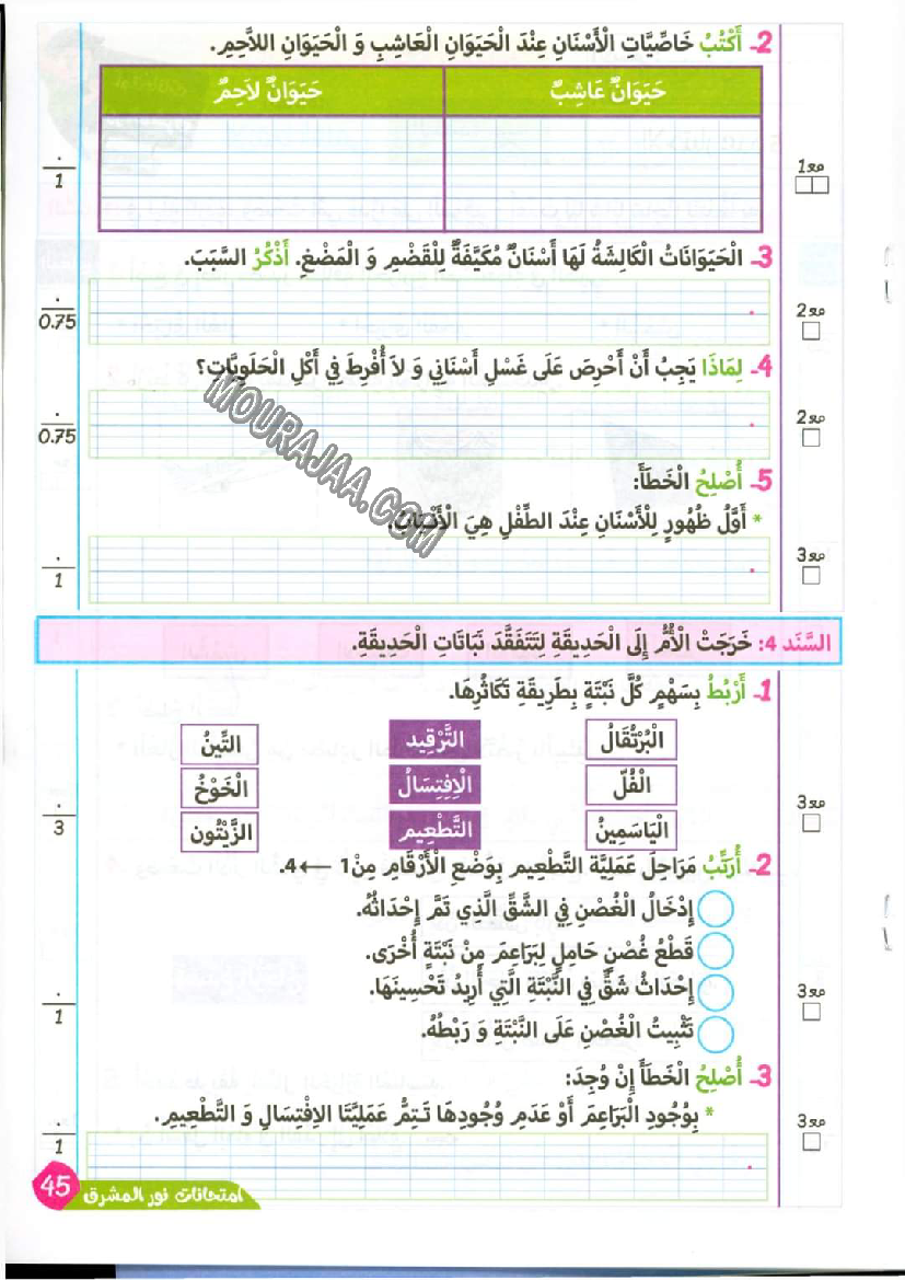 نور المشرق الامتحانات سنة 4 السداسي الثاني