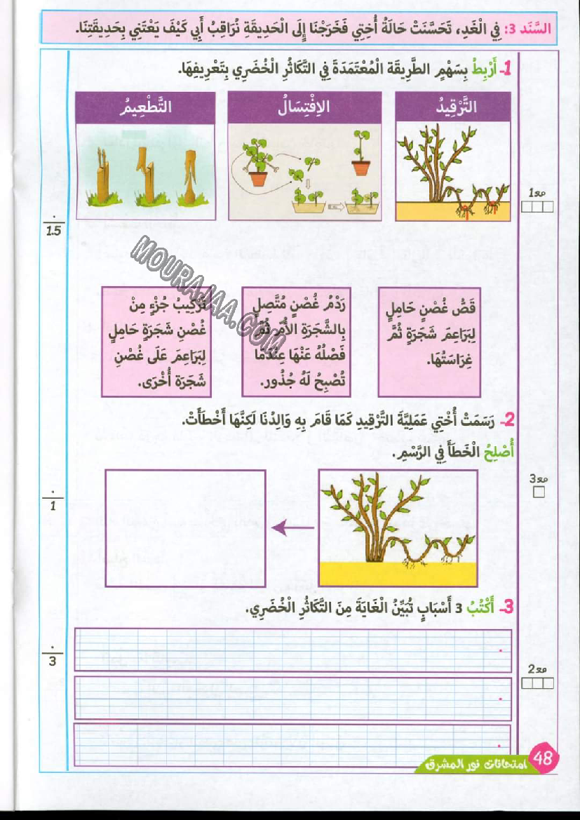 نور المشرق الامتحانات سنة 4 السداسي الثاني