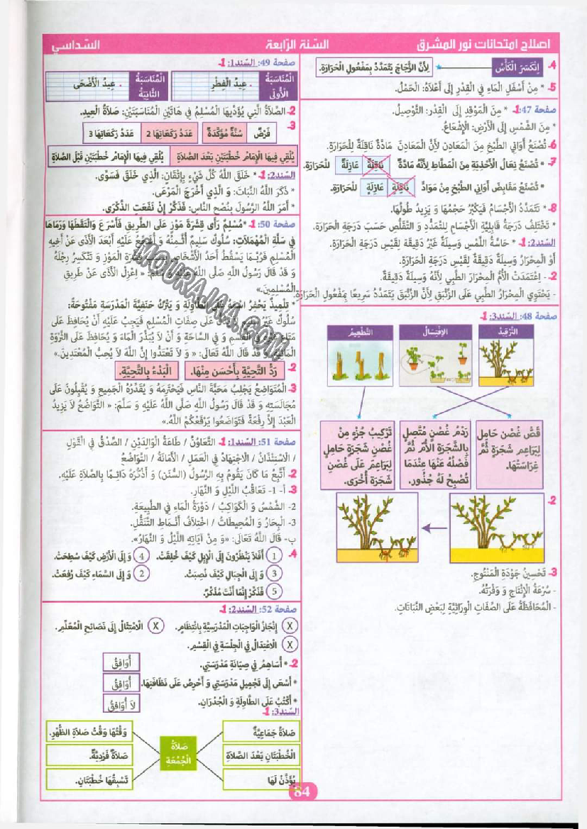 نور المشرق الامتحانات سنة 4 السداسي الثاني