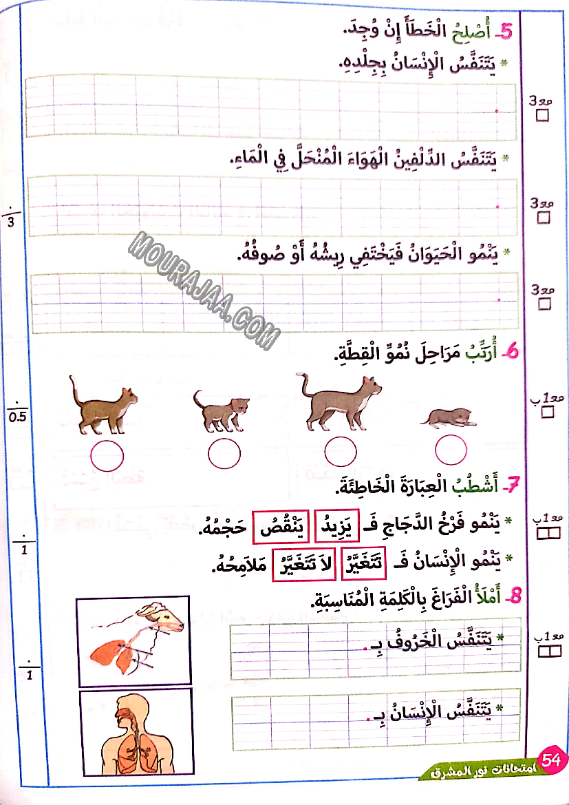 نور المشرق الامتحانات سنة أولى السداسي الثاني