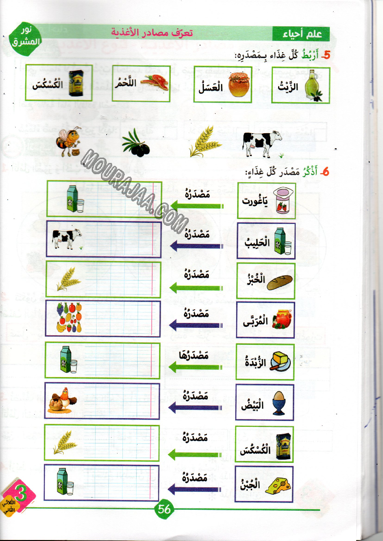 نور المشرق سنة ثالثة الثلاثي الثاني