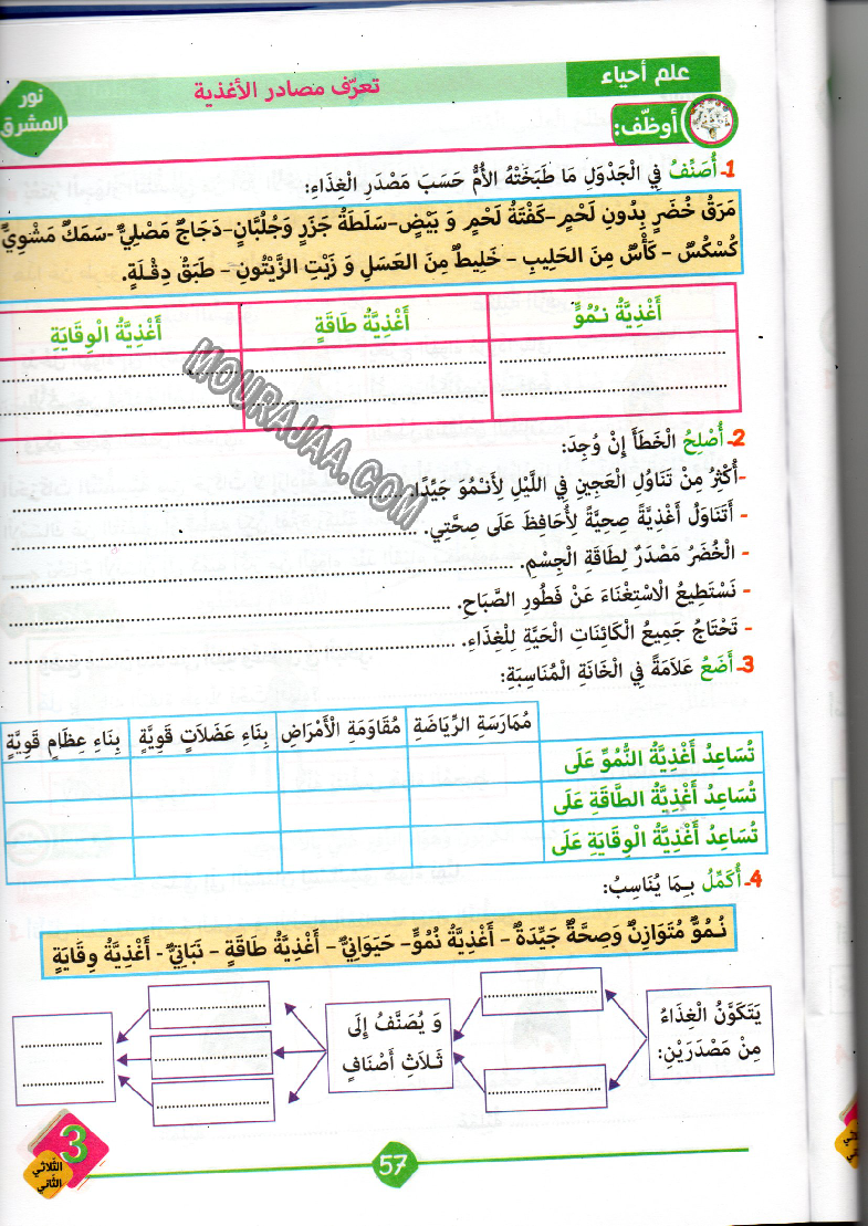 نور المشرق سنة ثالثة الثلاثي الثاني