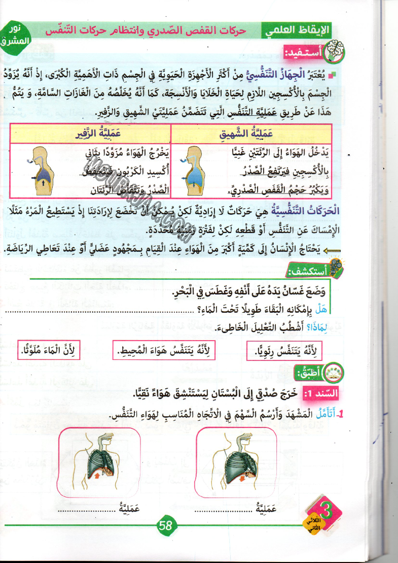 نور المشرق سنة ثالثة الثلاثي الثاني