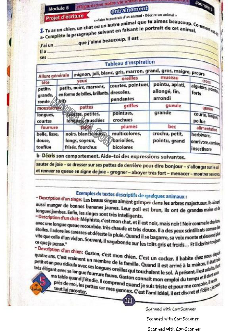 نور المشرق سنة خامسة الثلاثي الثاني