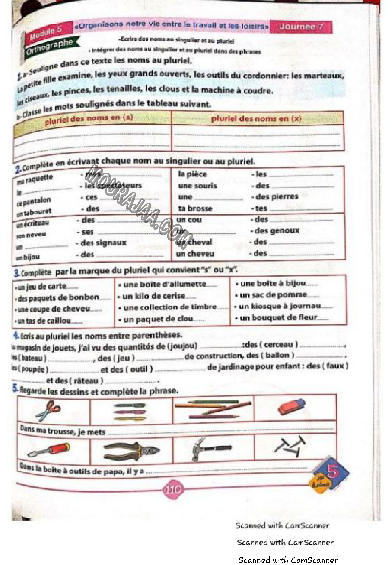 نور المشرق سنة خامسة الثلاثي الثاني