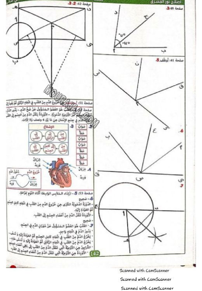 نور المشرق سنة خامسة الثلاثي الثاني