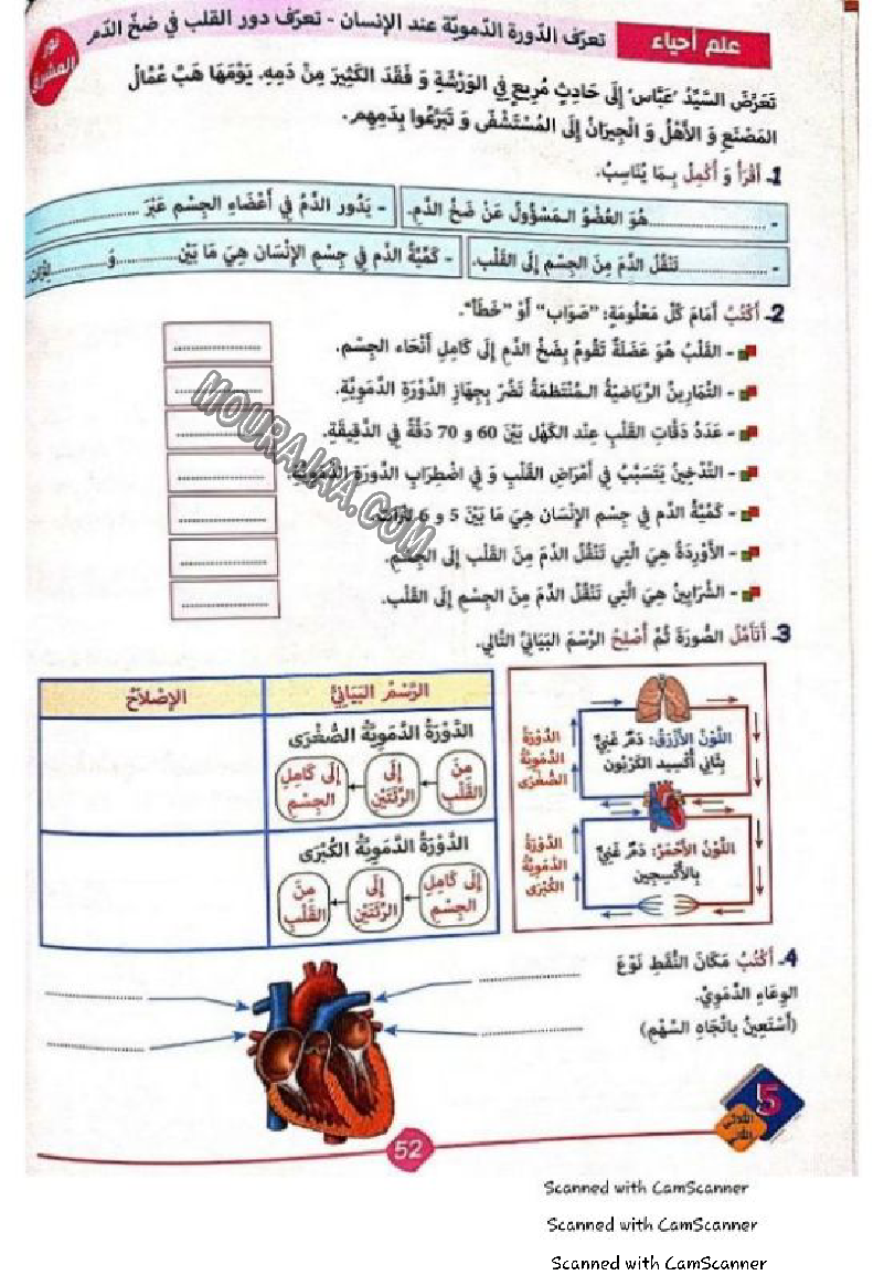 نور المشرق سنة خامسة الثلاثي الثاني