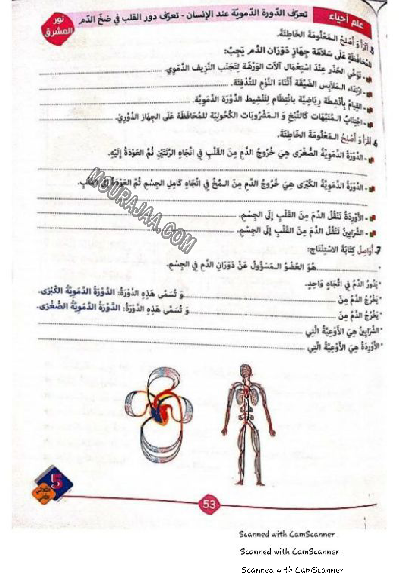 نور المشرق سنة خامسة الثلاثي الثاني