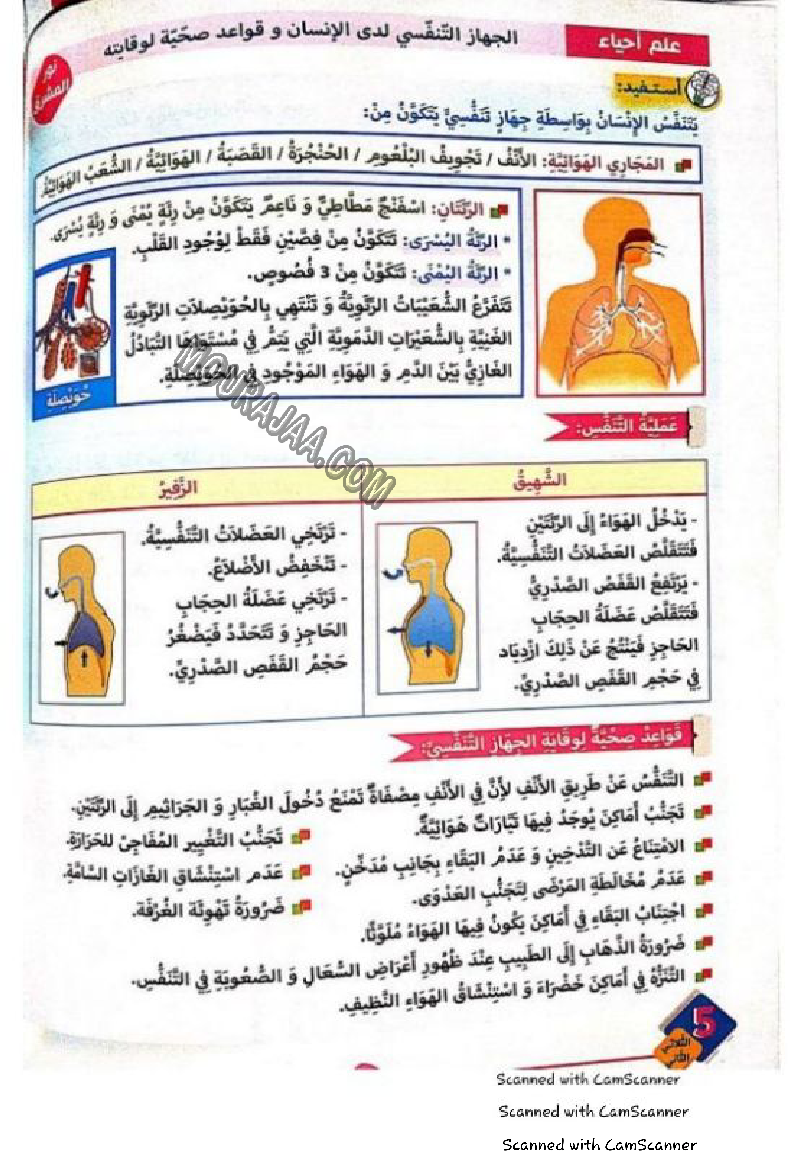 نور المشرق سنة خامسة الثلاثي الثاني