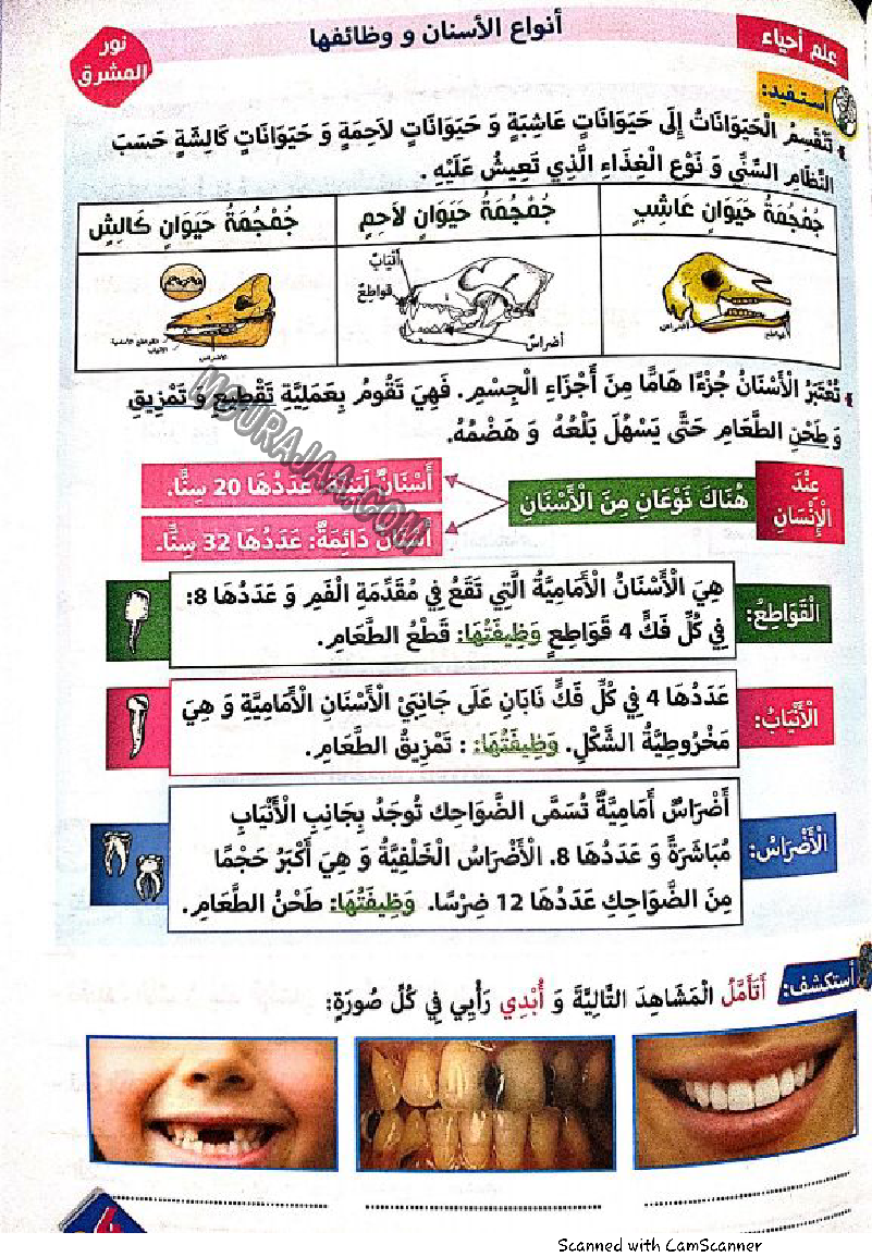 نور المشرق سنة رابعة الثلاثي الثاني