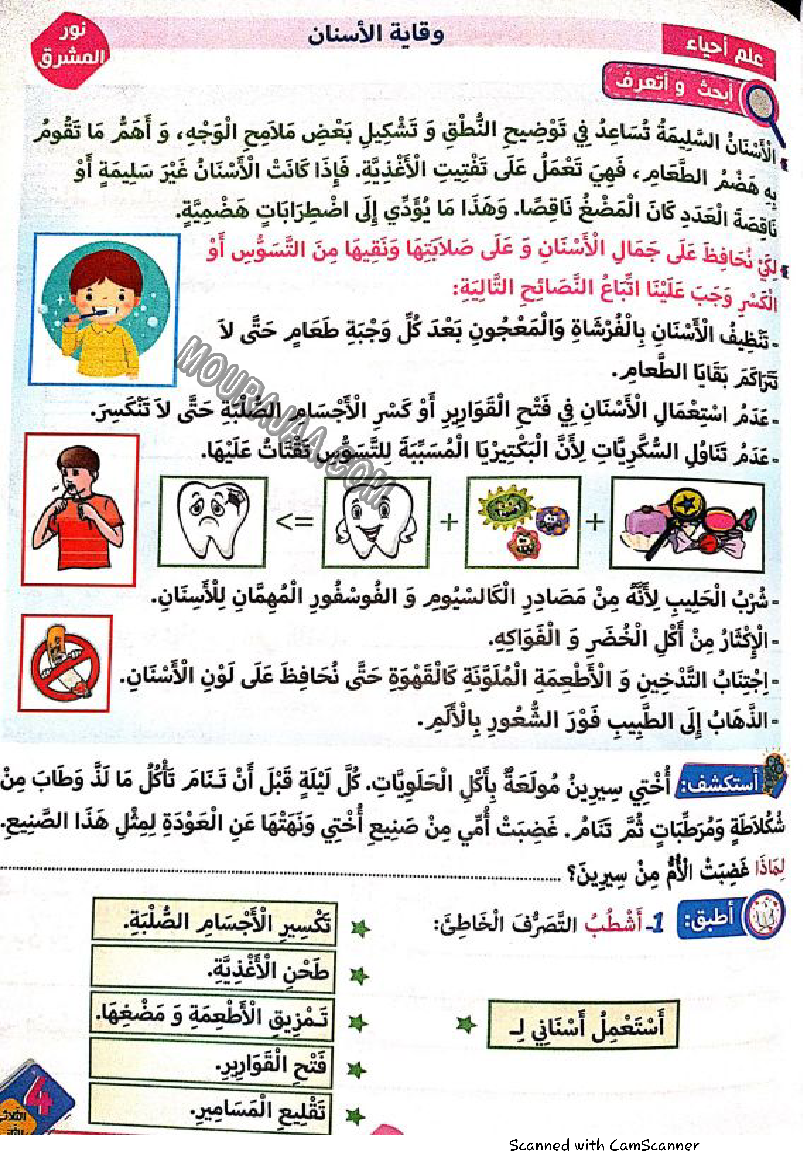 نور المشرق سنة رابعة الثلاثي الثاني