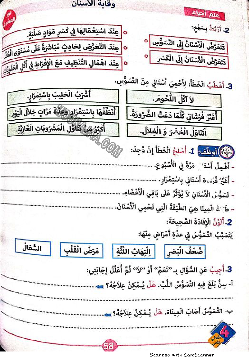نور المشرق سنة رابعة الثلاثي الثاني