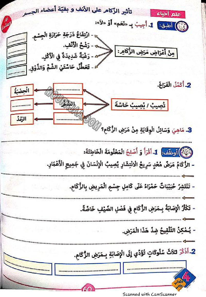 نور المشرق سنة رابعة الثلاثي الثاني