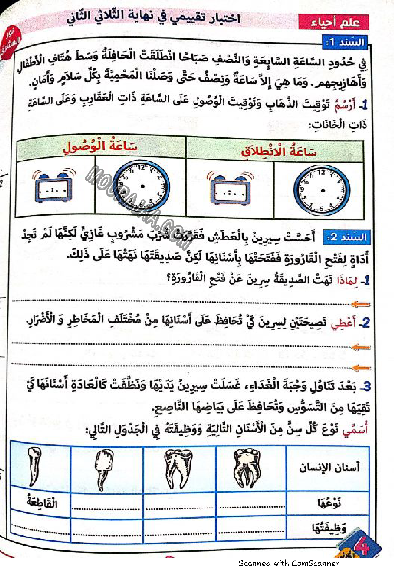 نور المشرق سنة رابعة الثلاثي الثاني