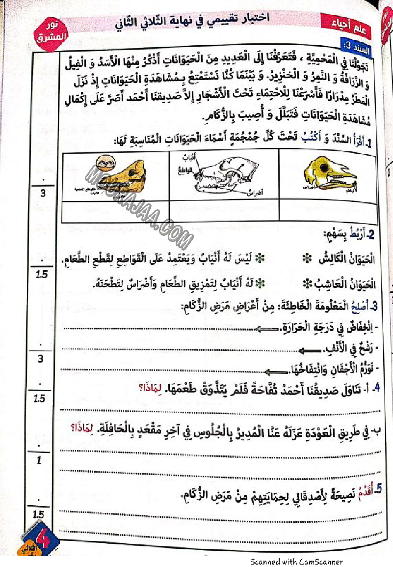 نور المشرق سنة رابعة الثلاثي الثاني