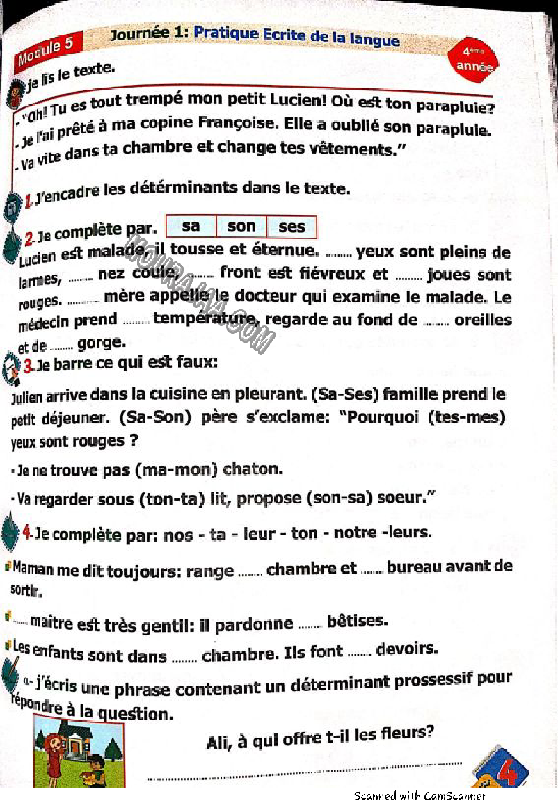 نور المشرق سنة رابعة الثلاثي الثاني
