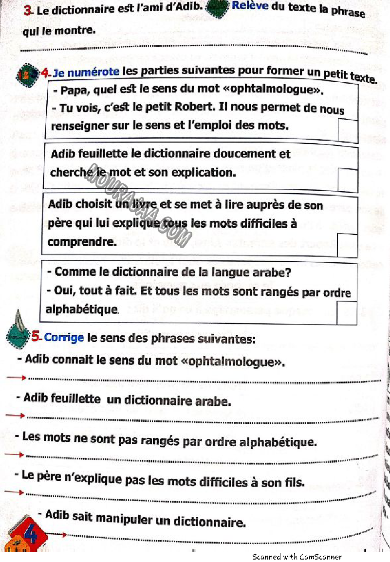 نور المشرق سنة رابعة الثلاثي الثاني