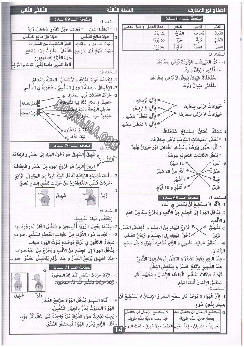 نور المعارف سنة ثالثة ثلاثي ثاني