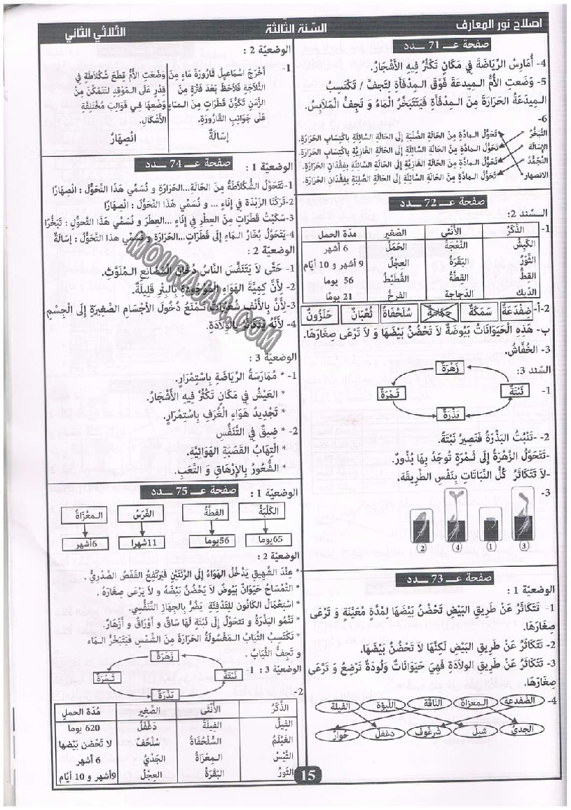 نور المعارف سنة ثالثة ثلاثي ثاني