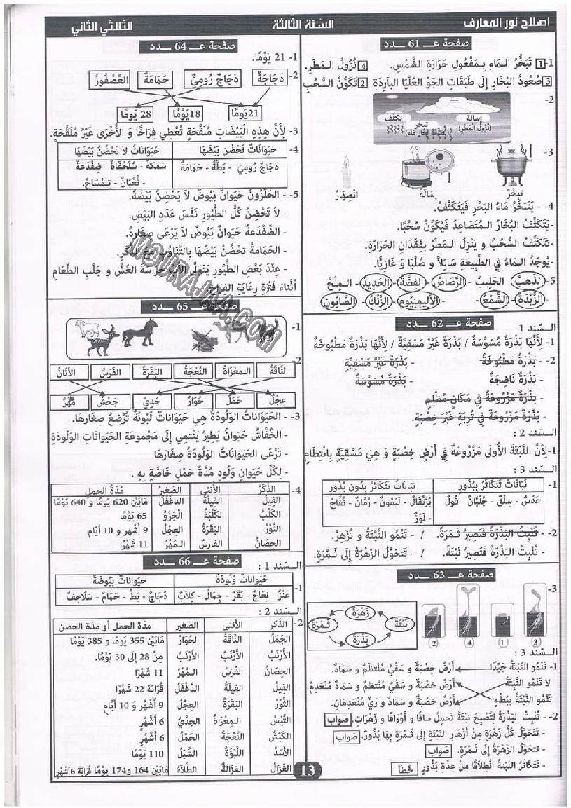 نور المعارف سنة ثالثة ثلاثي ثاني