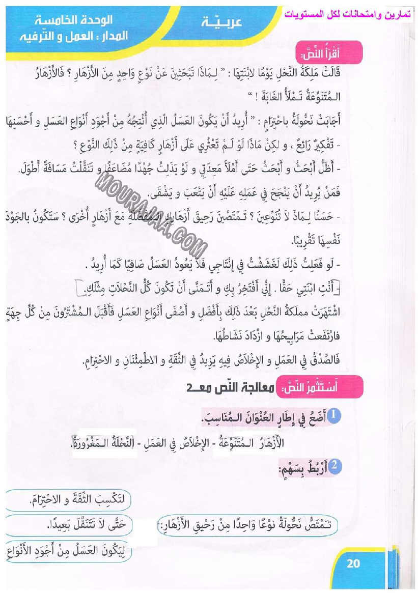 نور المعارف سنة ثالثة ثلاثي ثاني