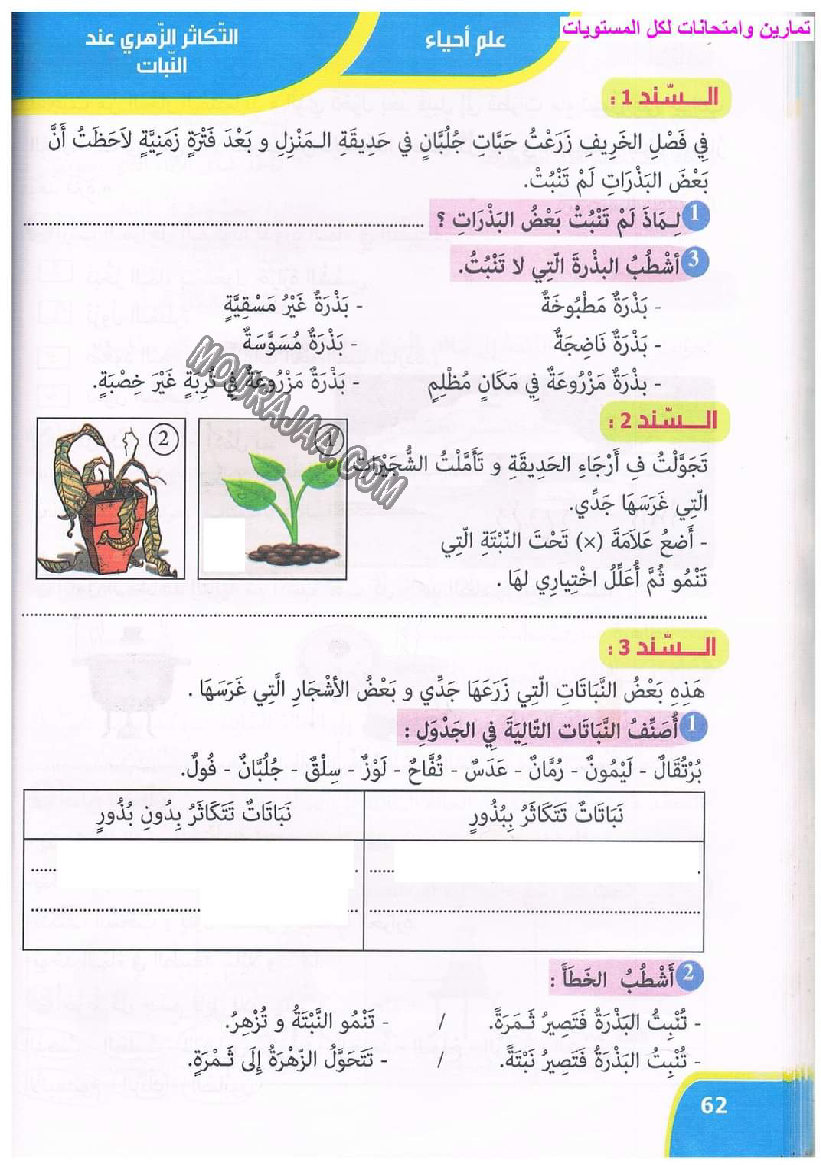 نور المعارف سنة ثالثة ثلاثي ثاني