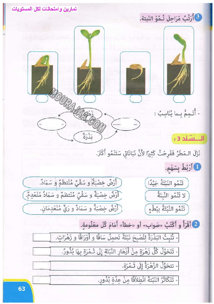 نور المعارف سنة ثالثة ثلاثي ثاني