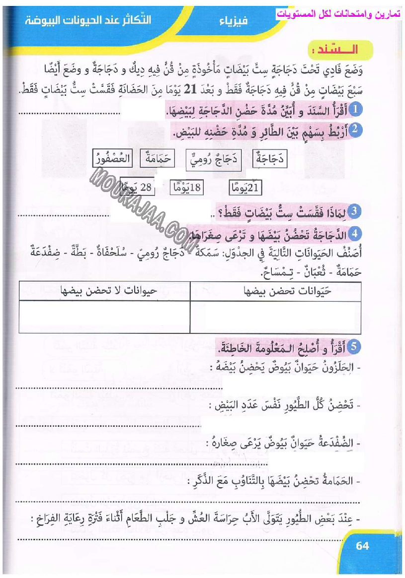 نور المعارف سنة ثالثة ثلاثي ثاني