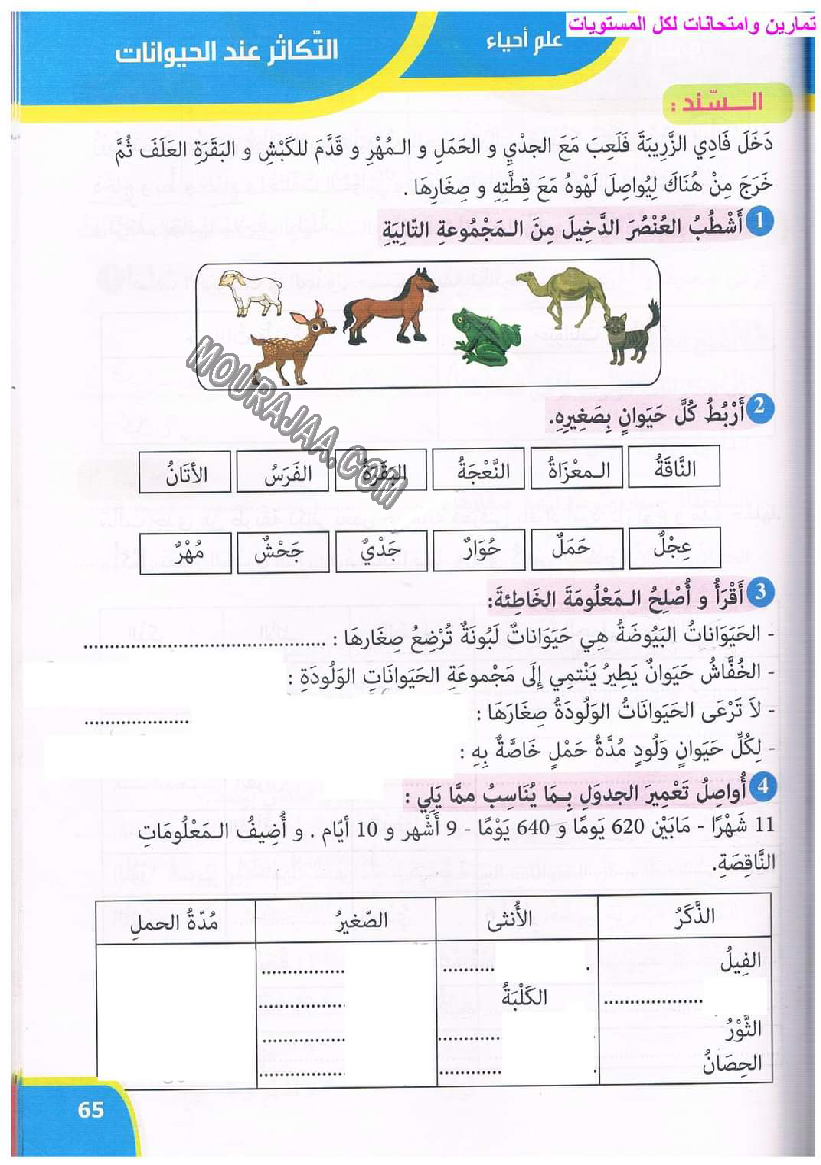 نور المعارف سنة ثالثة ثلاثي ثاني