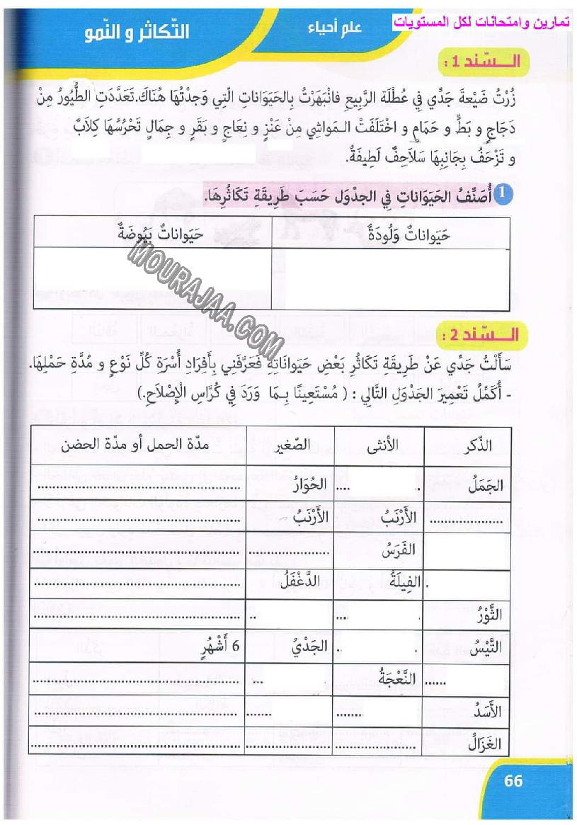 نور المعارف سنة ثالثة ثلاثي ثاني