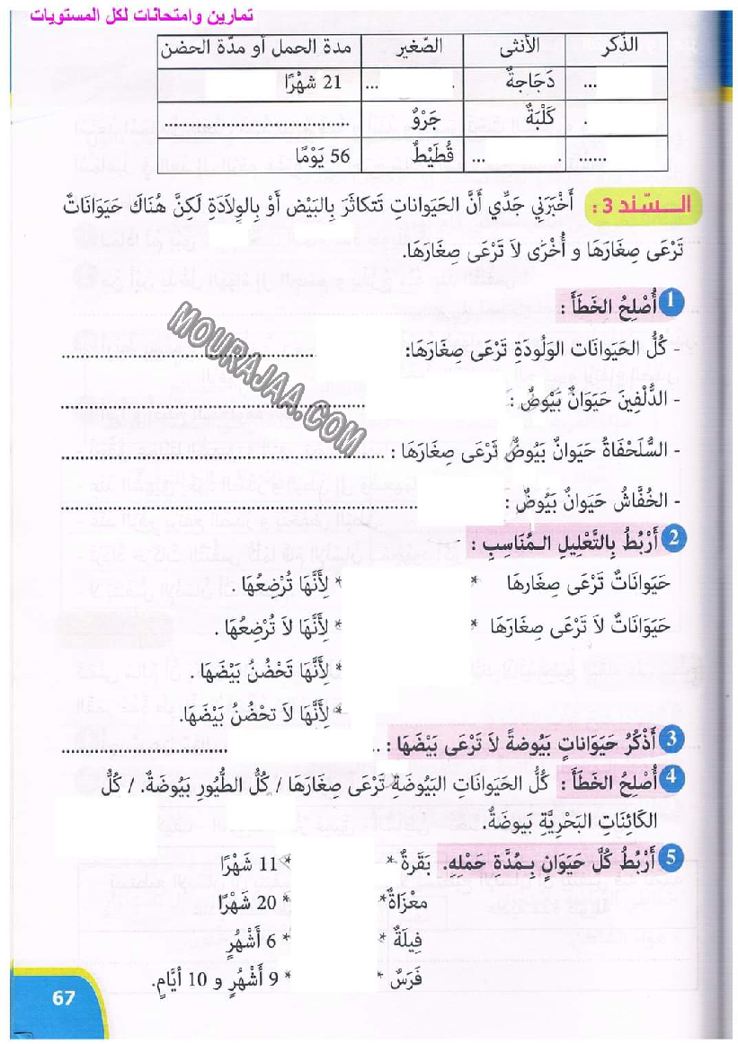 نور المعارف سنة ثالثة ثلاثي ثاني